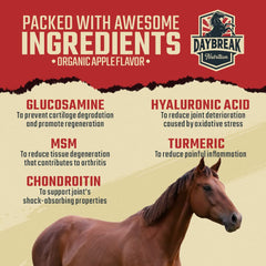 Daybreak Nutrition ingredientes clave glucosamina y MSM para articulaciones.