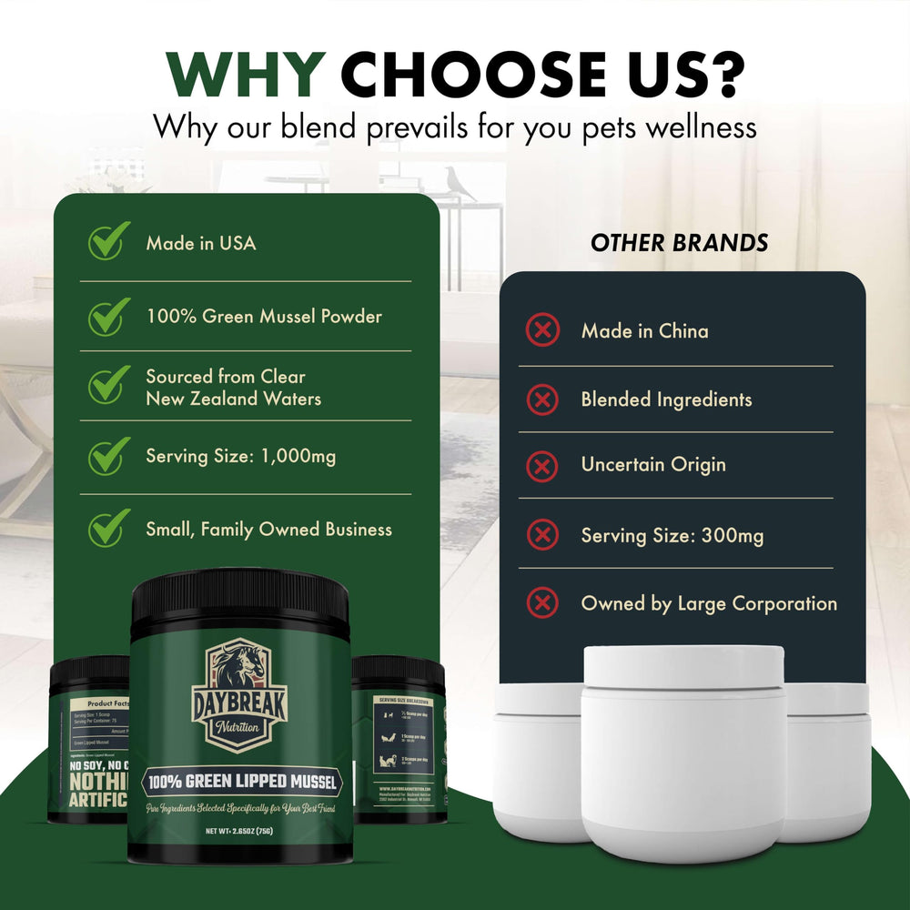 Origen NZ del polvo de mejillón verde Daybreak Nutrition, alta calidad.