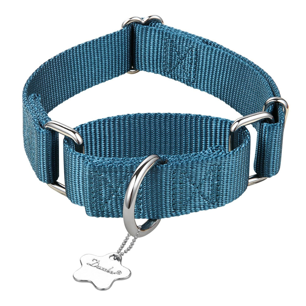 Dazzber collar ajustable para perros medianos y grandes, cómodo y seguro.