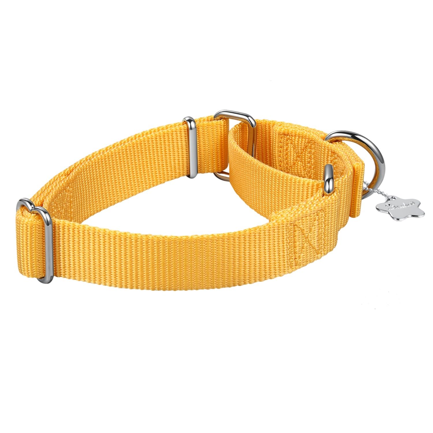 Dazzber collar con anilla en D metálica para durabilidad.