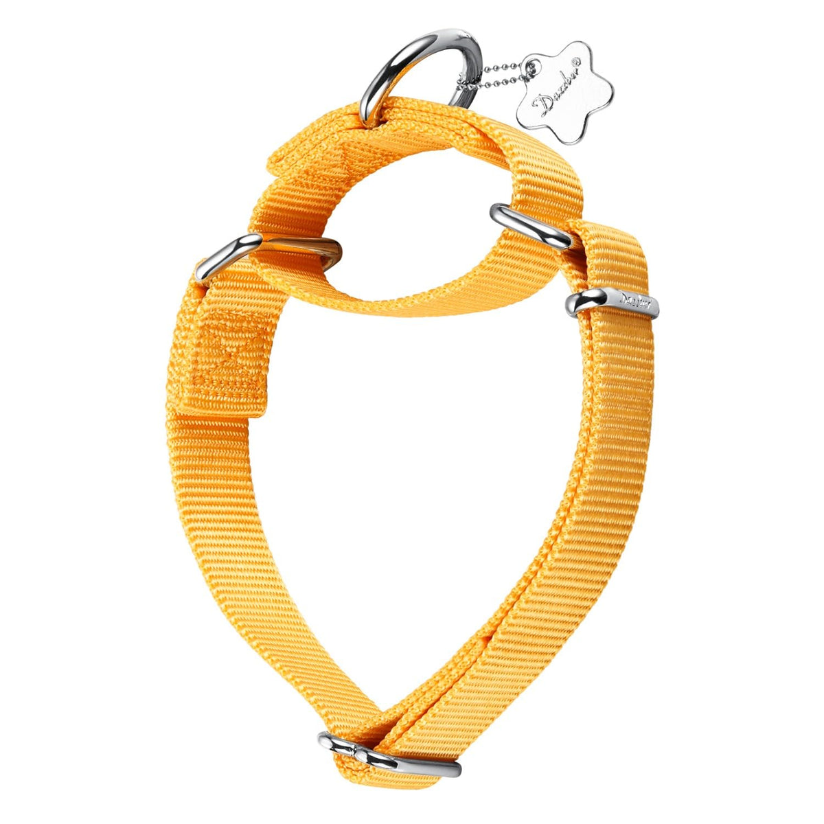 Dazzber collar martingala sin hebilla para entrenamiento seguro.