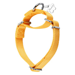 Dazzber collar martingala sin hebilla para entrenamiento seguro.