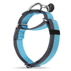 Dazzber collar martingale 1,5 pulgadas frente: control suave durante paseos sin tirones