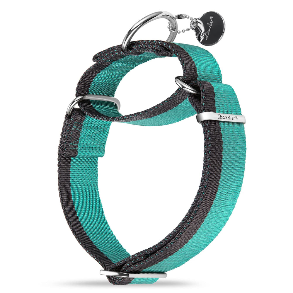 Collar martingale Dazzber en vista frontal para paseos más seguros