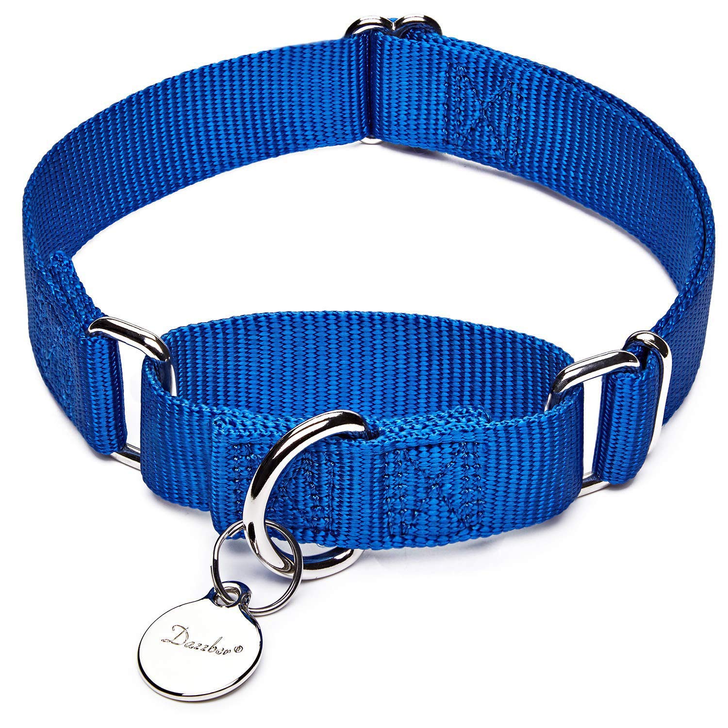Dazzber collar martingale con hebilla metálica para perros activos.