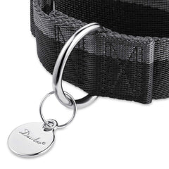 Dazzber collar martingale 1200D nylon, detalle de tejido resistente para uso diario.