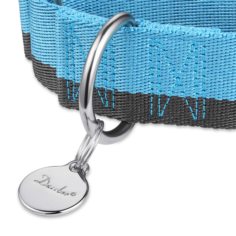Dazzber collar martingale nylon 1200D resistente para perros grandes