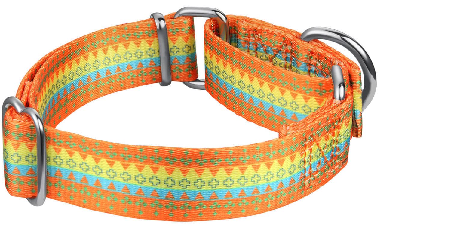 Dazzber collar martingala sin cierre, control suave y evitar escapes.