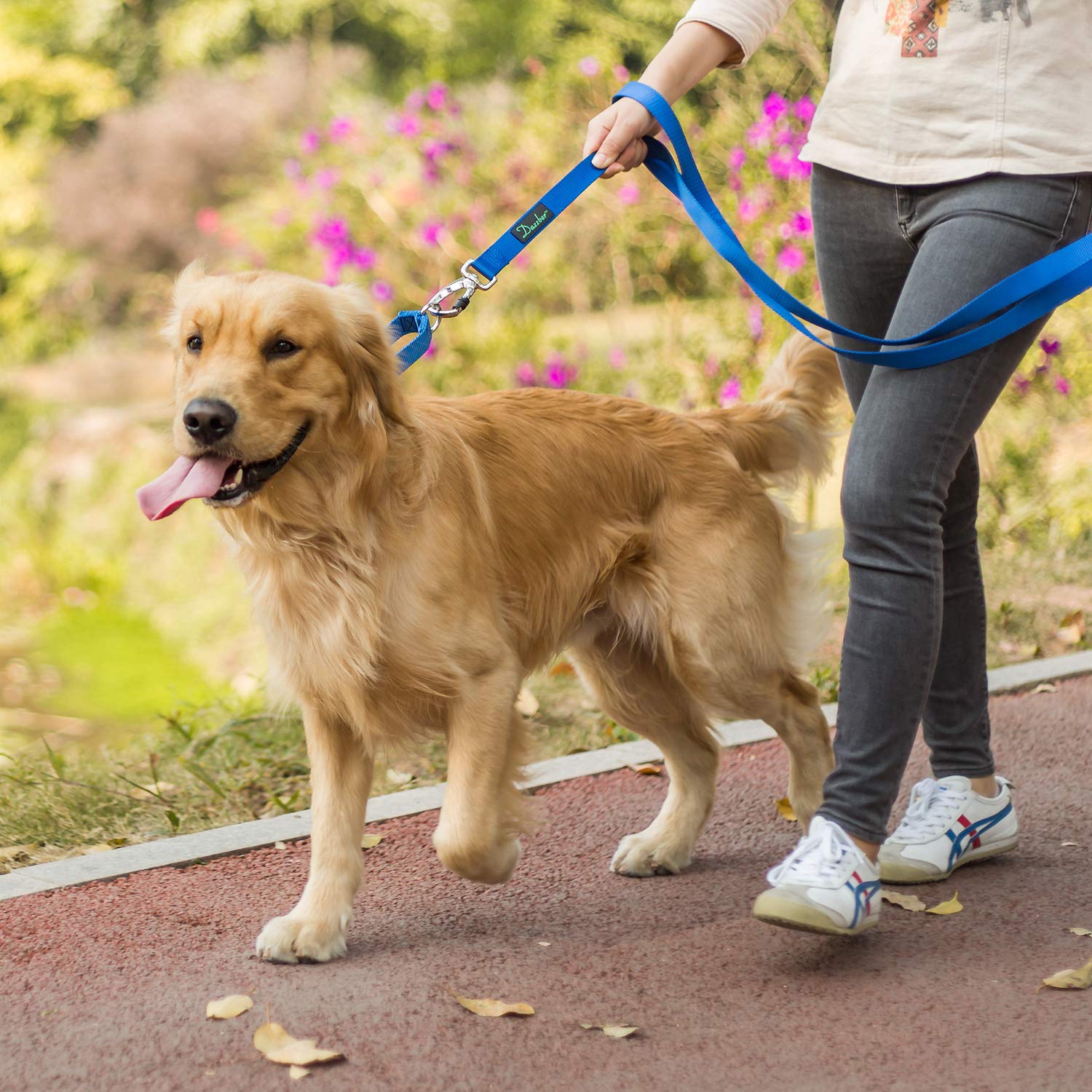 Dazzber martingale para paseos diarios de perros enérgicos.