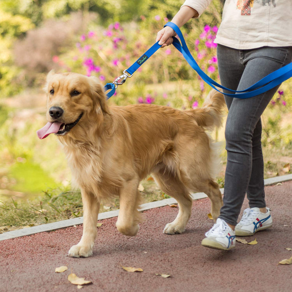 Dazzber martingale para paseos diarios de perros enérgicos.
