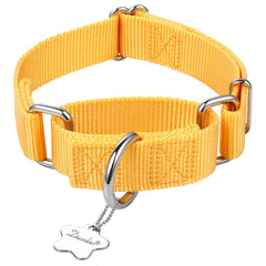 Dazzber collar de nailon resistente para paseos robustos.
