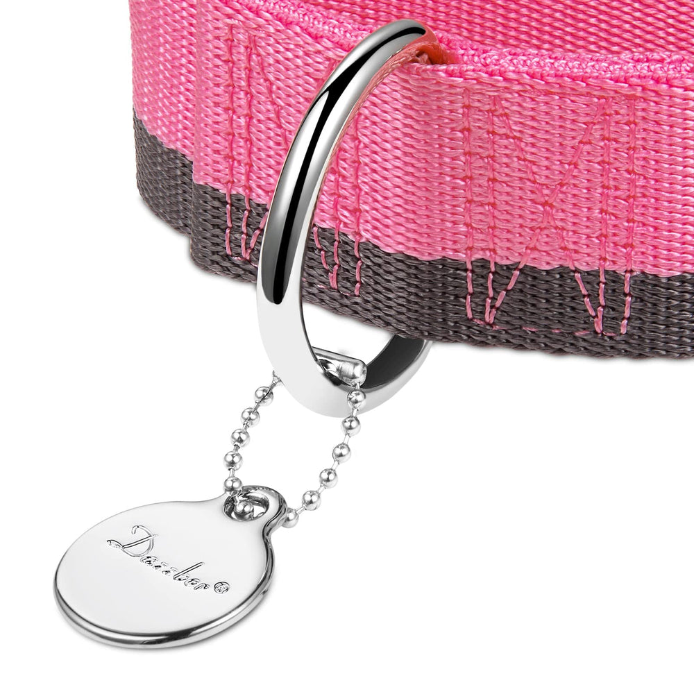 Nylon 1200D resistente de Dazzber para perros activos.