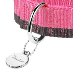 Nylon 1200D resistente de Dazzber para perros activos.