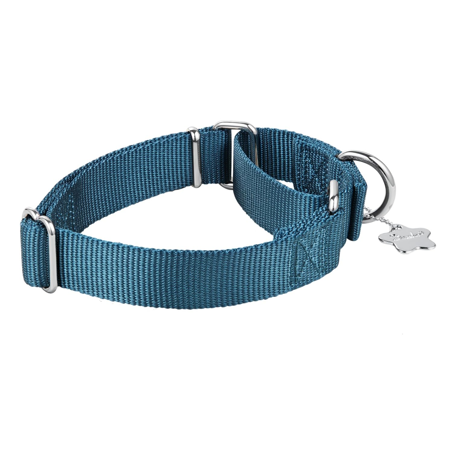 Dazzber collar nylon resistente con anilla en D soldada para mayor durabilidad.