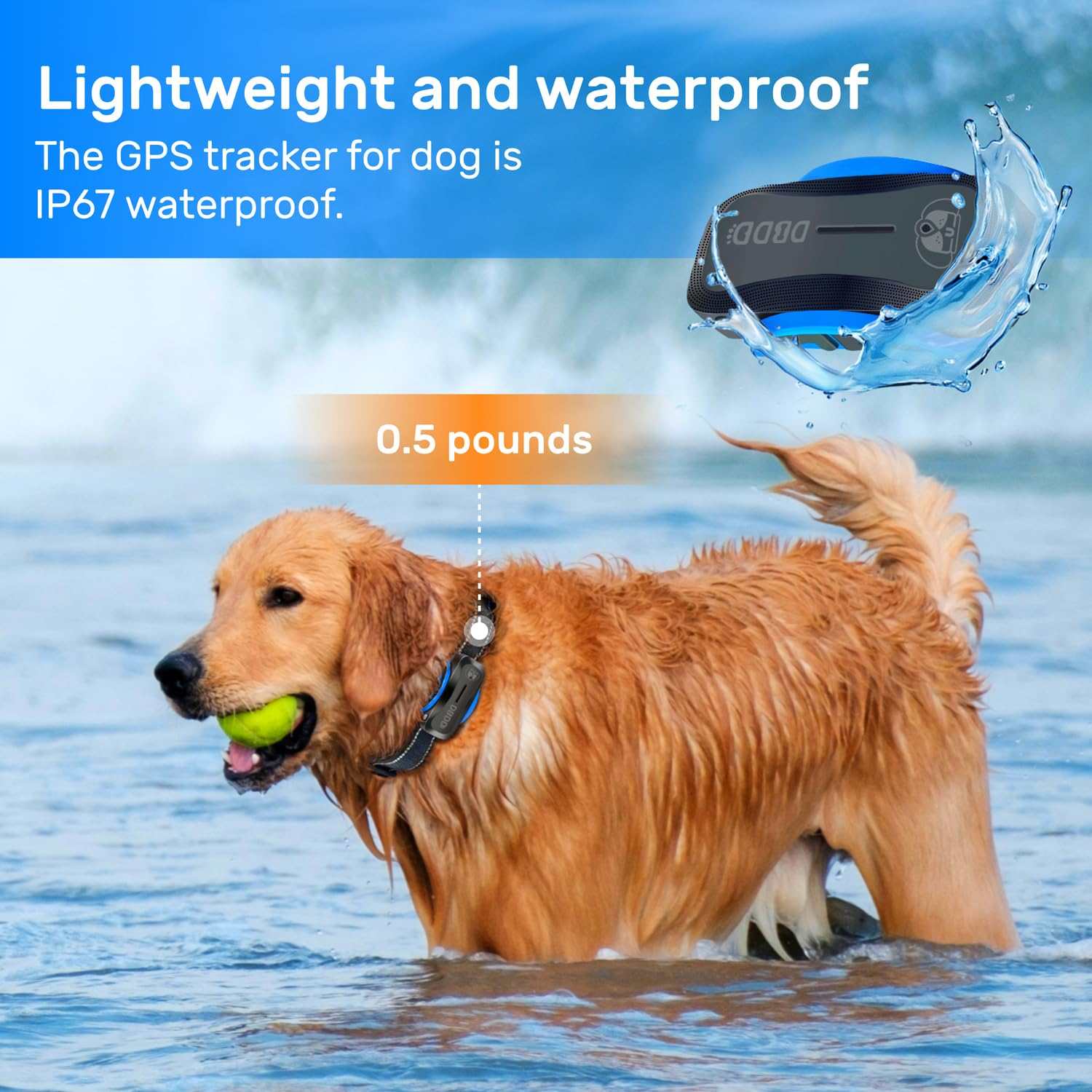 DBDD GPS para perros compatible con iOS y Android