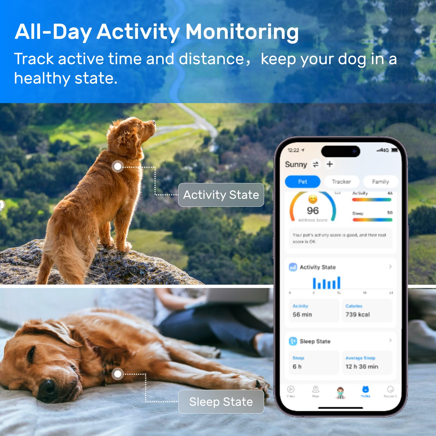 DBDD GPS para perros diseño ligero e impermeable para perros activos