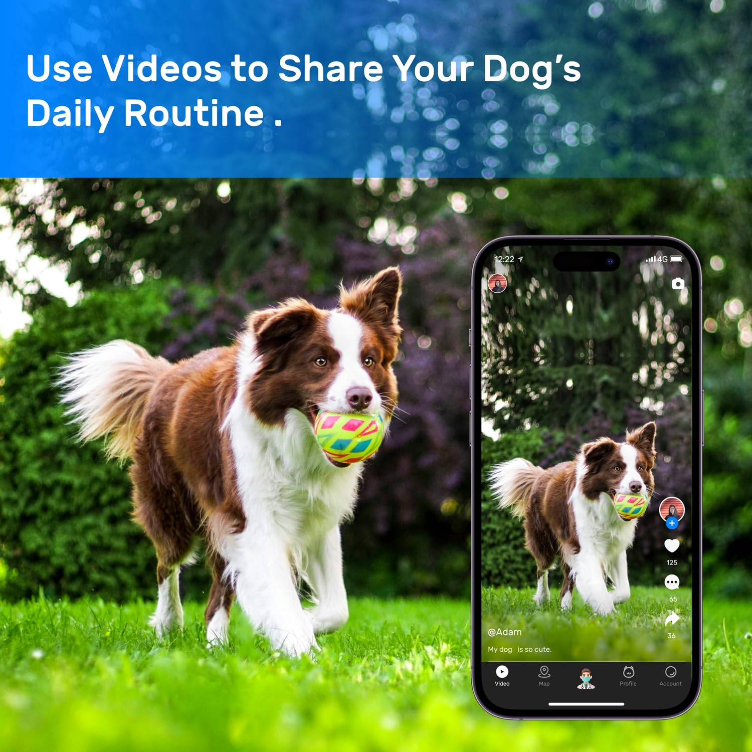 DBDD GPS para perros monitoreo de actividad para ejercicio diario