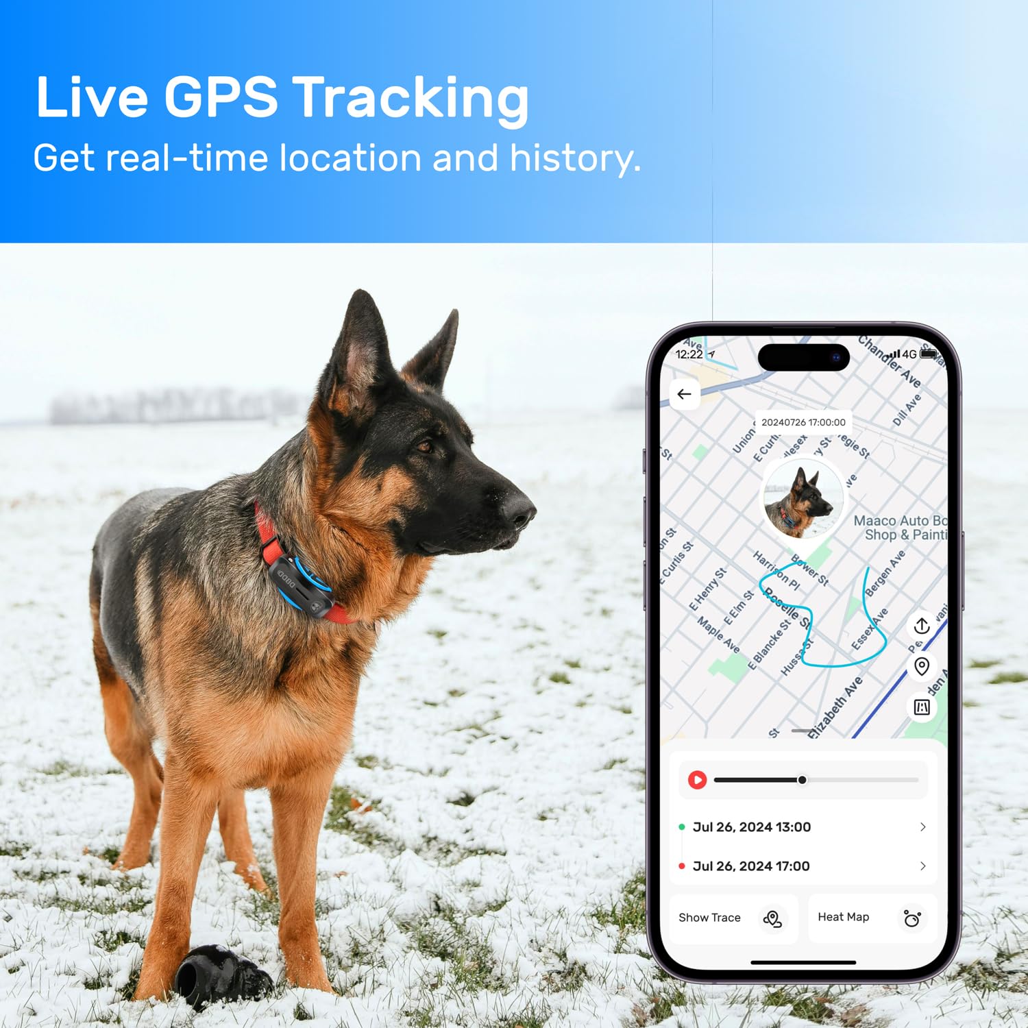DBDD GPS para perros planes de suscripcion flexibles