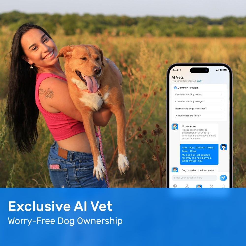 DBDD diseñado para perros grandes: compatible con 18 kg o más