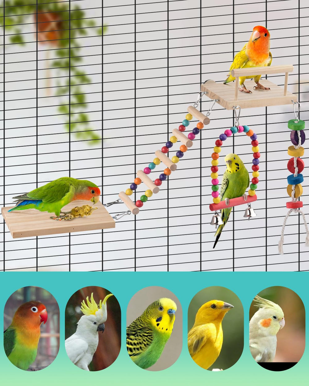 DBNESS campana colgante para pájaros estímulo sensorial suave
