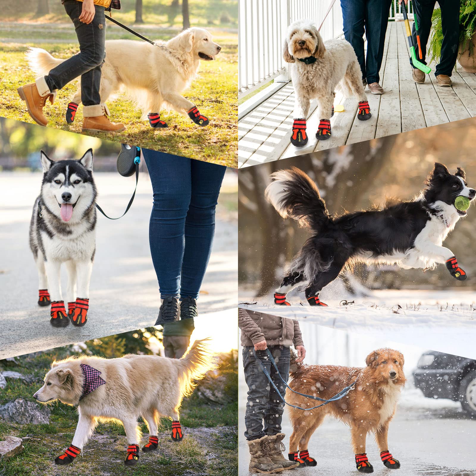 DcOaGt calzado cómodo y flexible para perro grande.