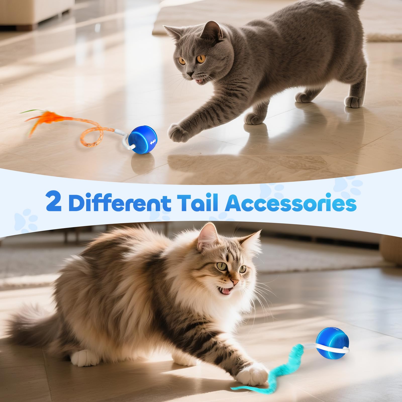 ddxcoo bola incluye accesorios y cable de carga para juego listo.