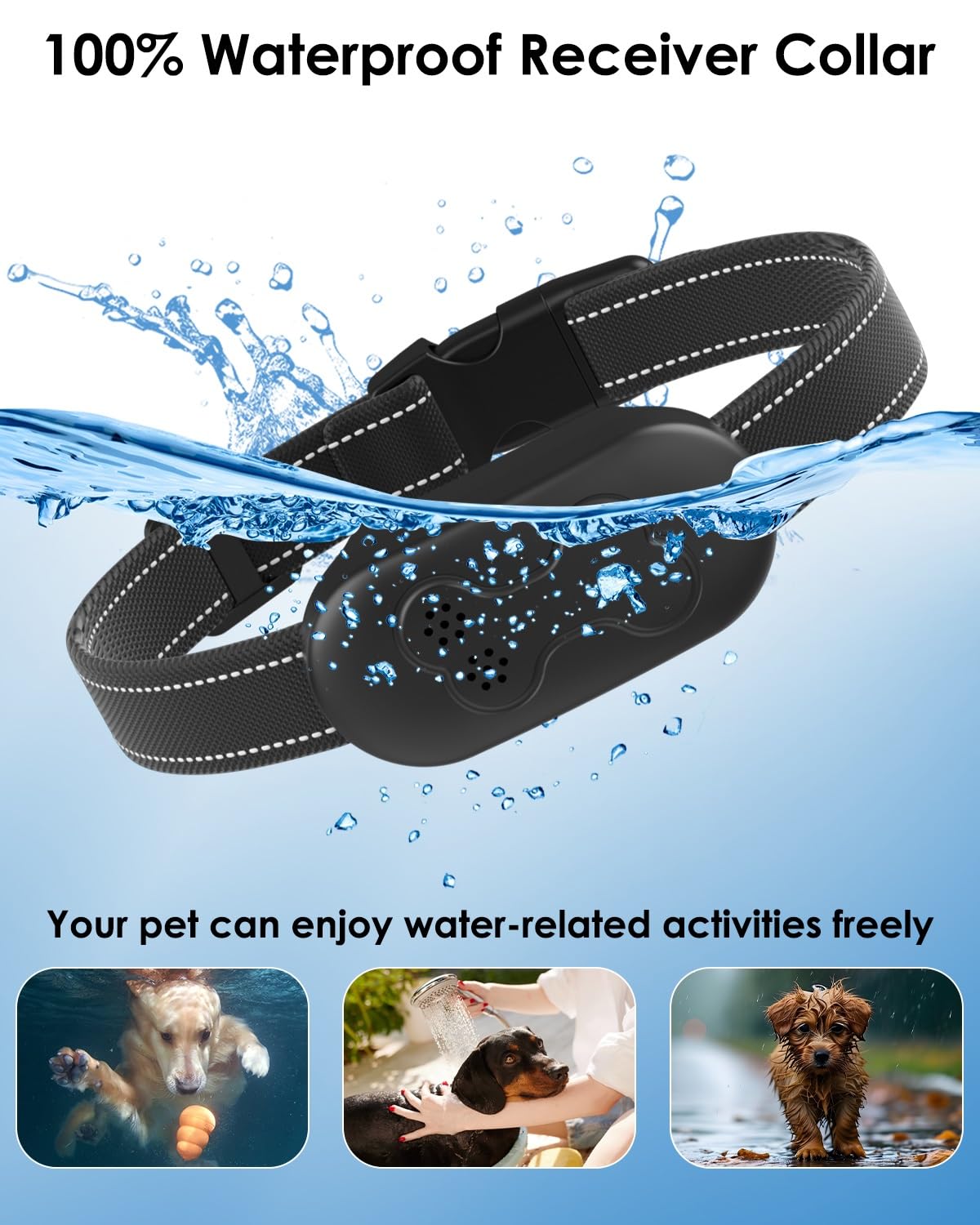 DDZ Collar diseño ergonómico para uso diario en perros.