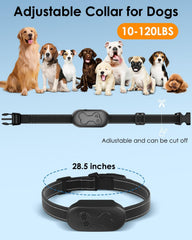 DDZ Collar impermeable IPX7 ideal para cualquier clima y juego mojado.