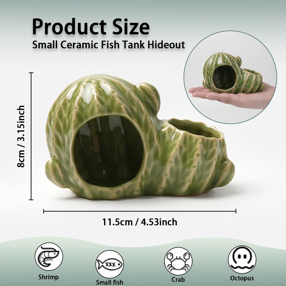Deapeey cactus verde para acuario: decoración realista