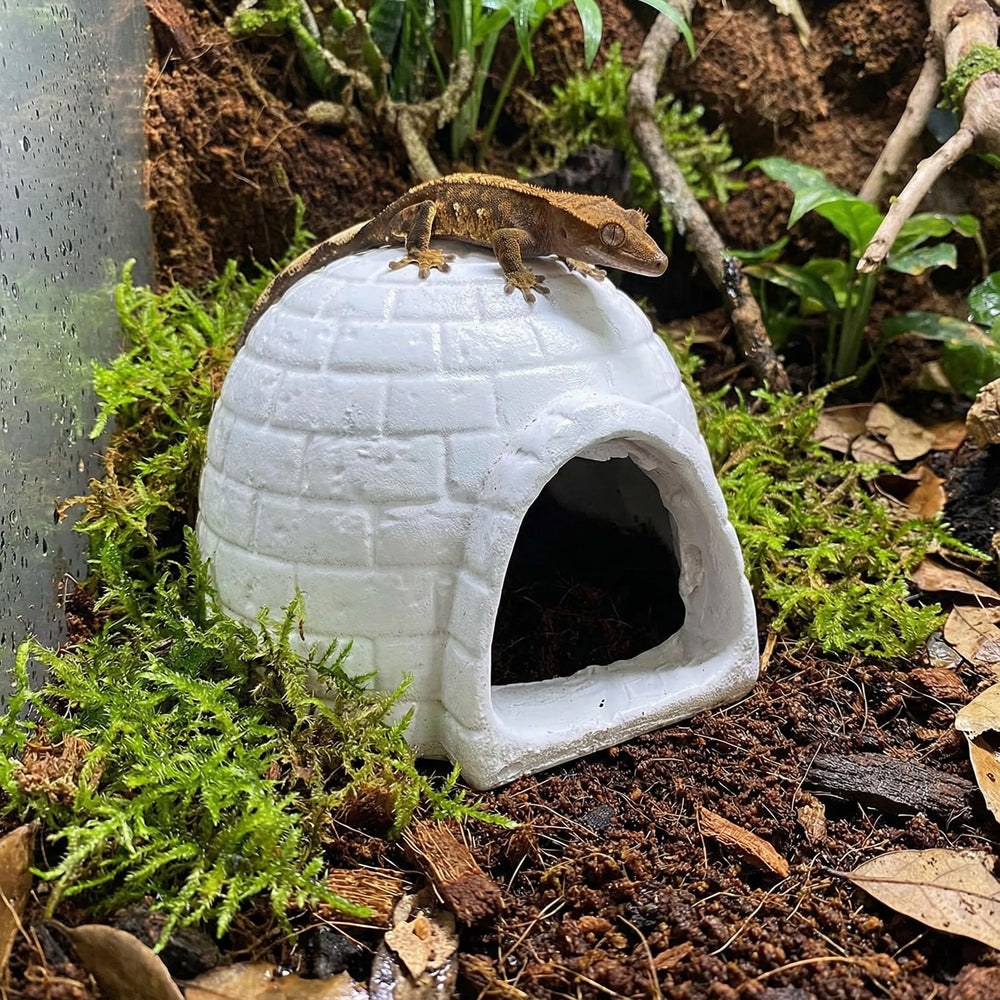 DEARMAMY escondite iglu resina acuario, aporta refugio seguro y sensación de hábitat natural.