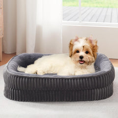 DEBANG HOME cama ortopédica para perros pequeños; enfoque tamaño compacto y soporte.