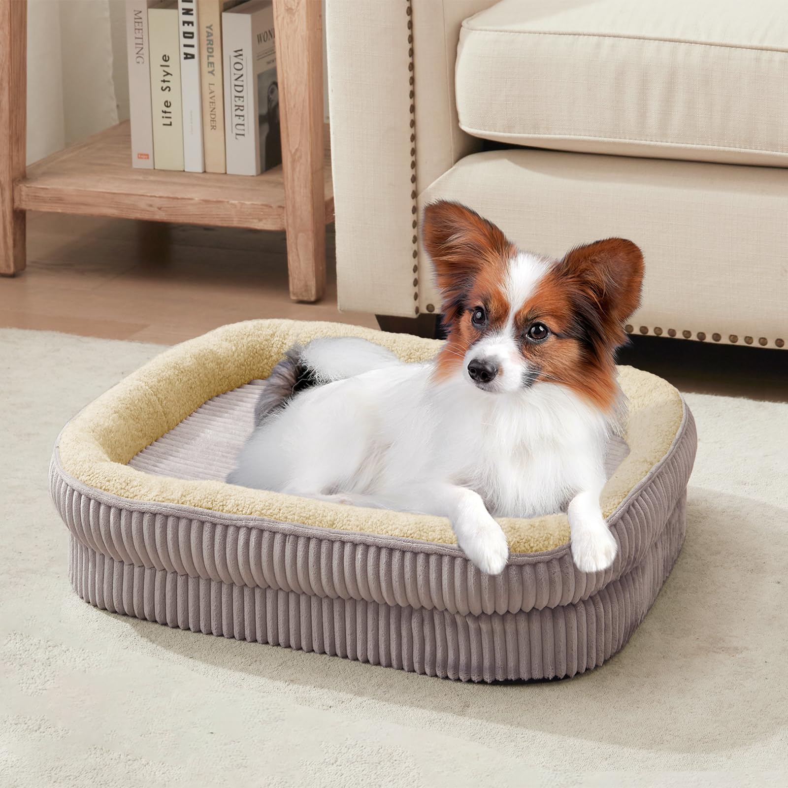 DEBANG HOME cama ovalada para gatos, diseño cómodo y versátil.