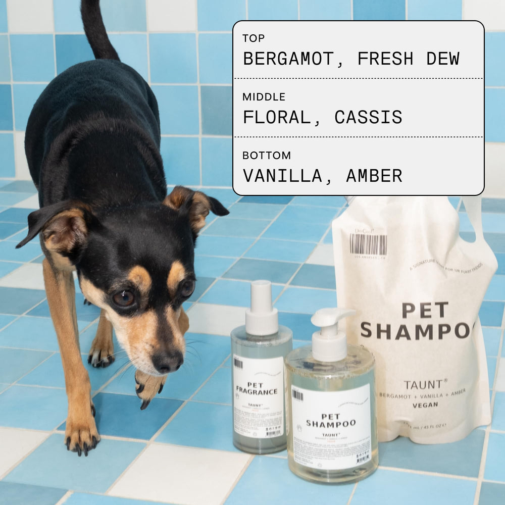 DedCool Pet Fragrance 01 Taunt: detalle de aroma para espacios frescos en casa