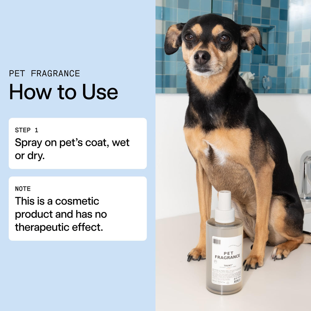 DedCool Pet Fragrance 01 Taunt: etiqueta detallada para lujo diario en rutina de cuidado