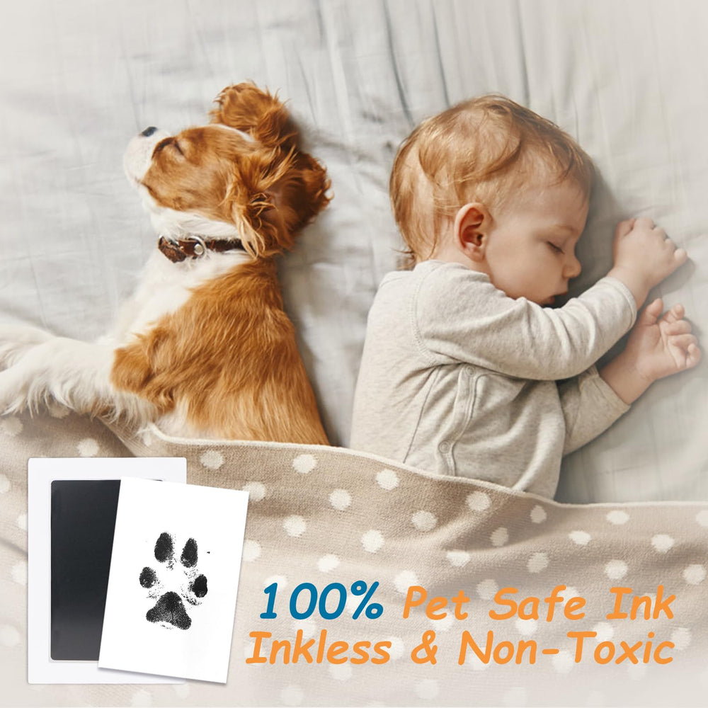 DeerZone Kit nariz sin tinta: impresión de nariz de perro sin ensuciar.