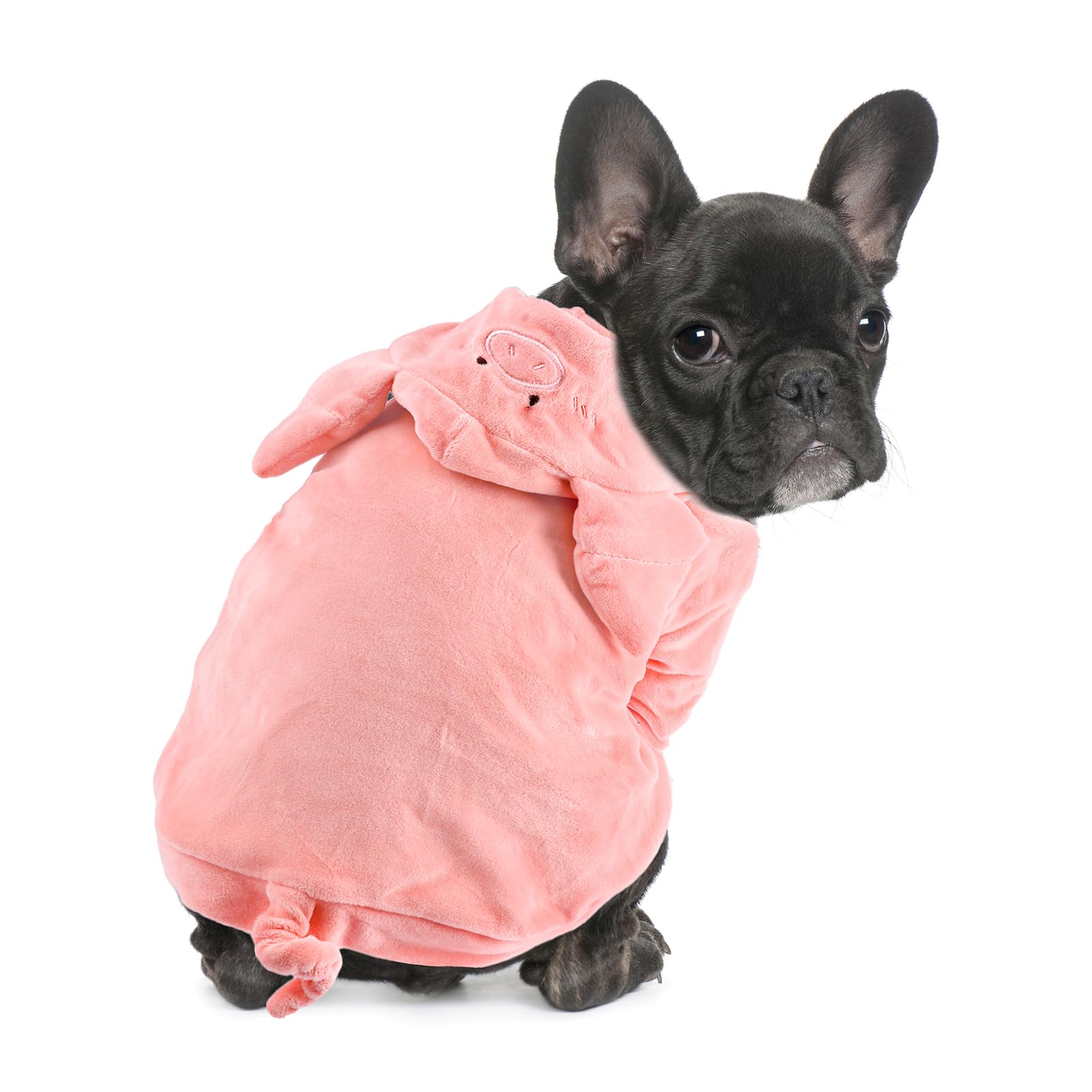 DELIFUR disfraz cerdito para perro con capucha, ideal para Halloween
