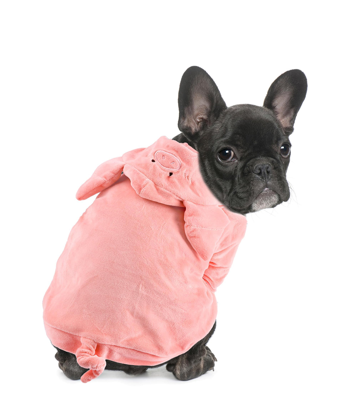 DELIFUR disfraz de perro puerquito para Halloween, ideal para fotos divertidas.