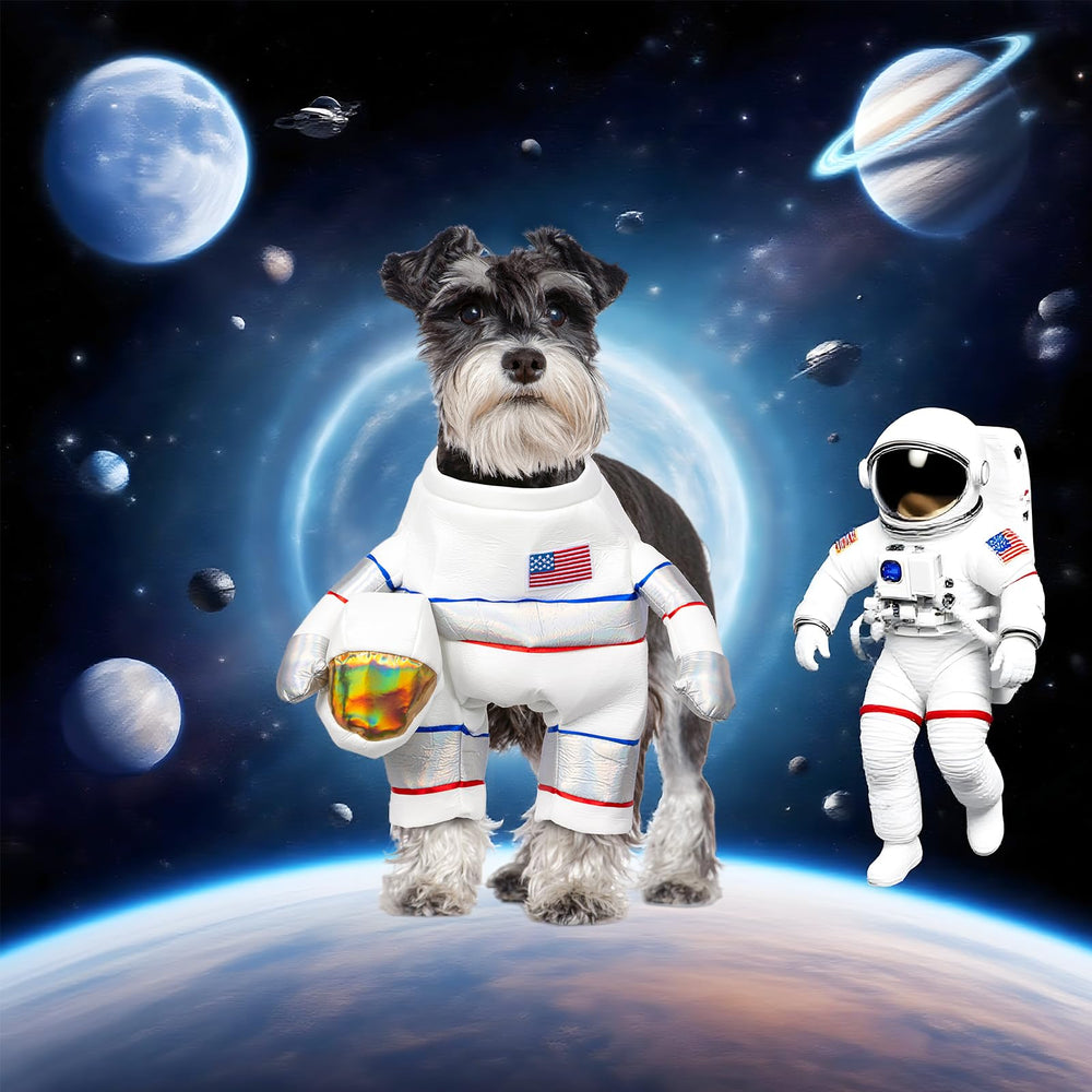 DELIFUR disfraz para perro con casco de astronauta, perfecto para paseos y celebraciones
