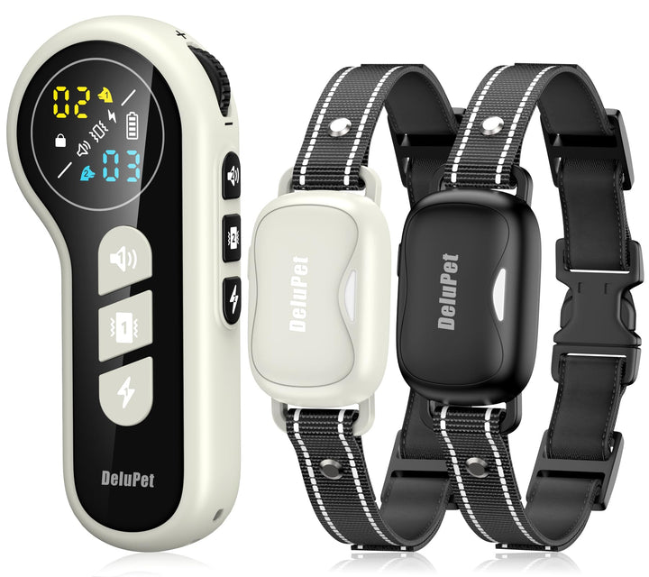 Delupet collar de entrenamiento doble para dos perros con control remoto práctico.