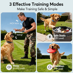 Delupet collar IPX8 resistente al agua para entrenamiento en cualquier clima.
