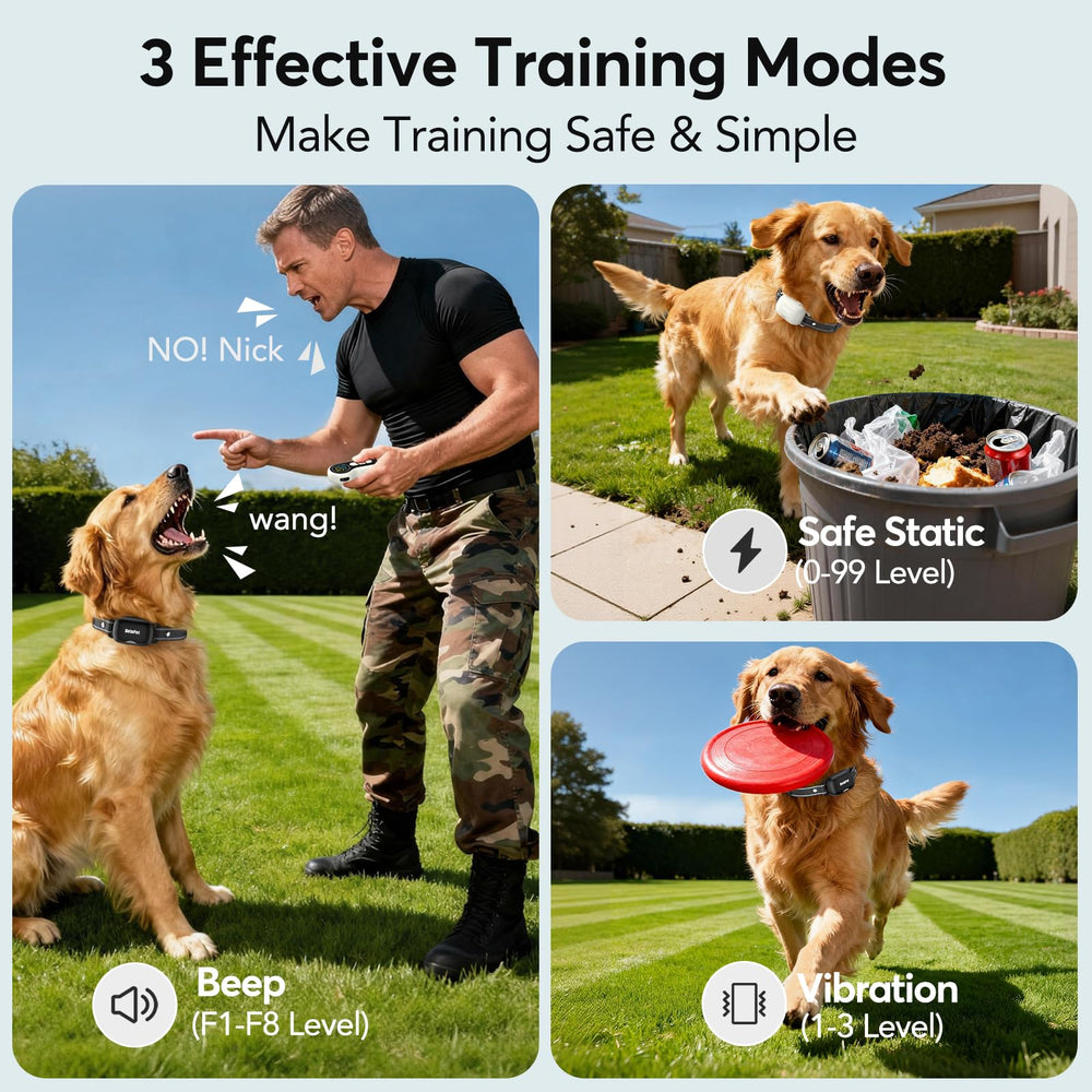 Delupet collar IPX8 resiste lluvia para entrenamientos en exteriores.