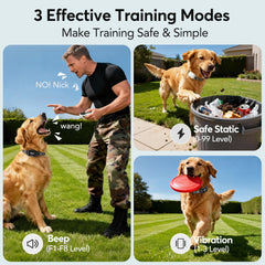 Delupet collar IPX8 resiste lluvia para entrenamientos en exteriores.