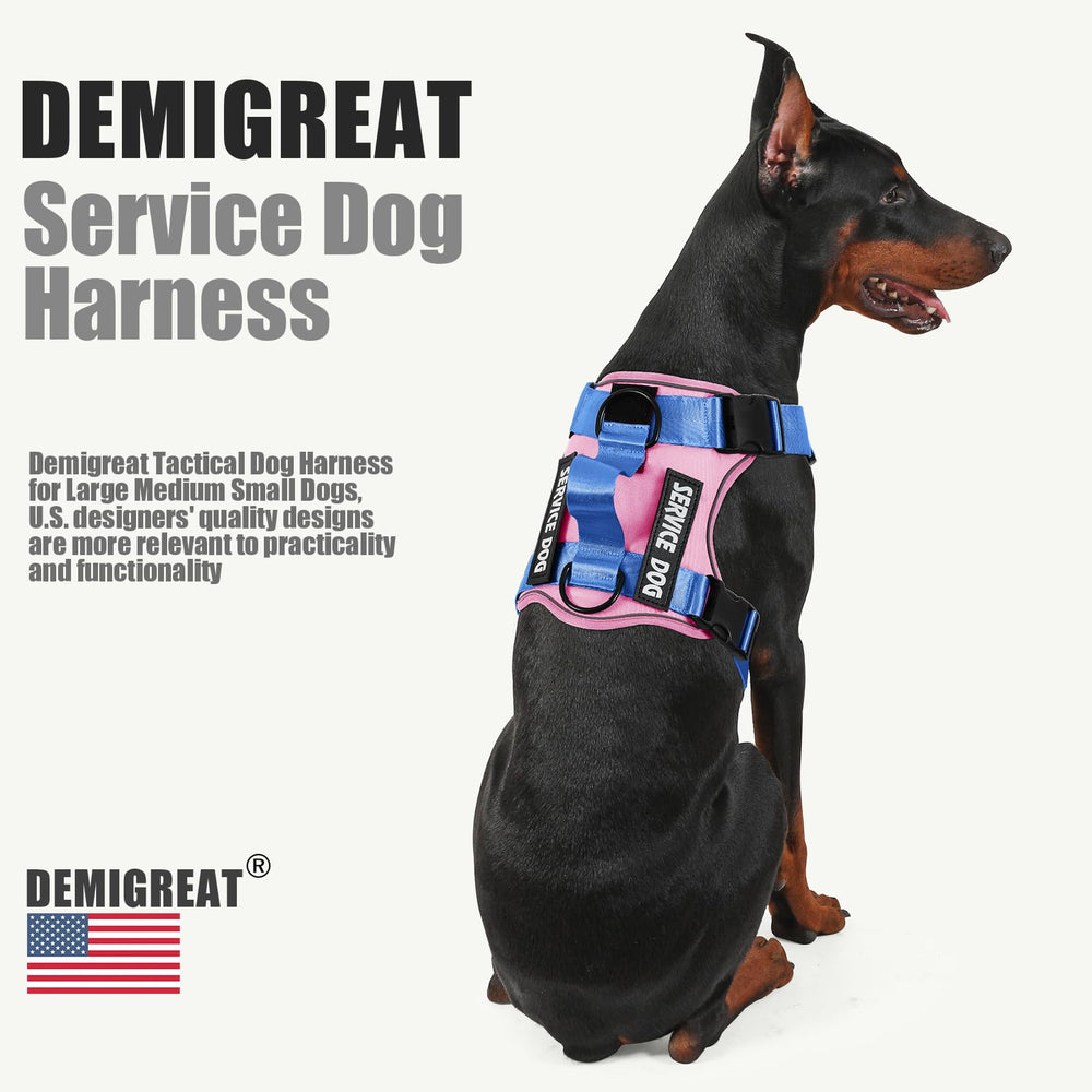 Demigreat anillas de tracción traseras para distribuir la tensión al caminar