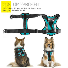 Demigreat arnés perro doble capa con malla interior para mayor comodidad.
