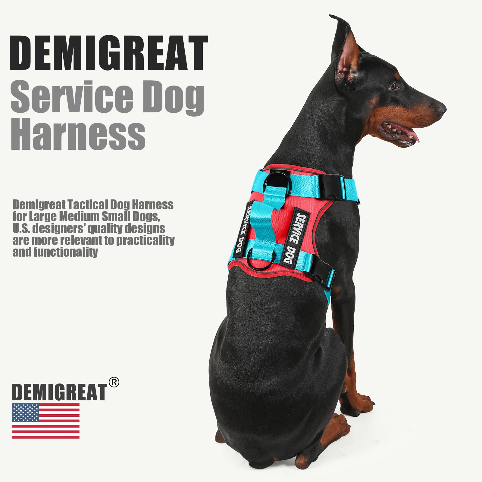 Demigreat arnés con anillas de tracción delanteras y traseras para control suave.