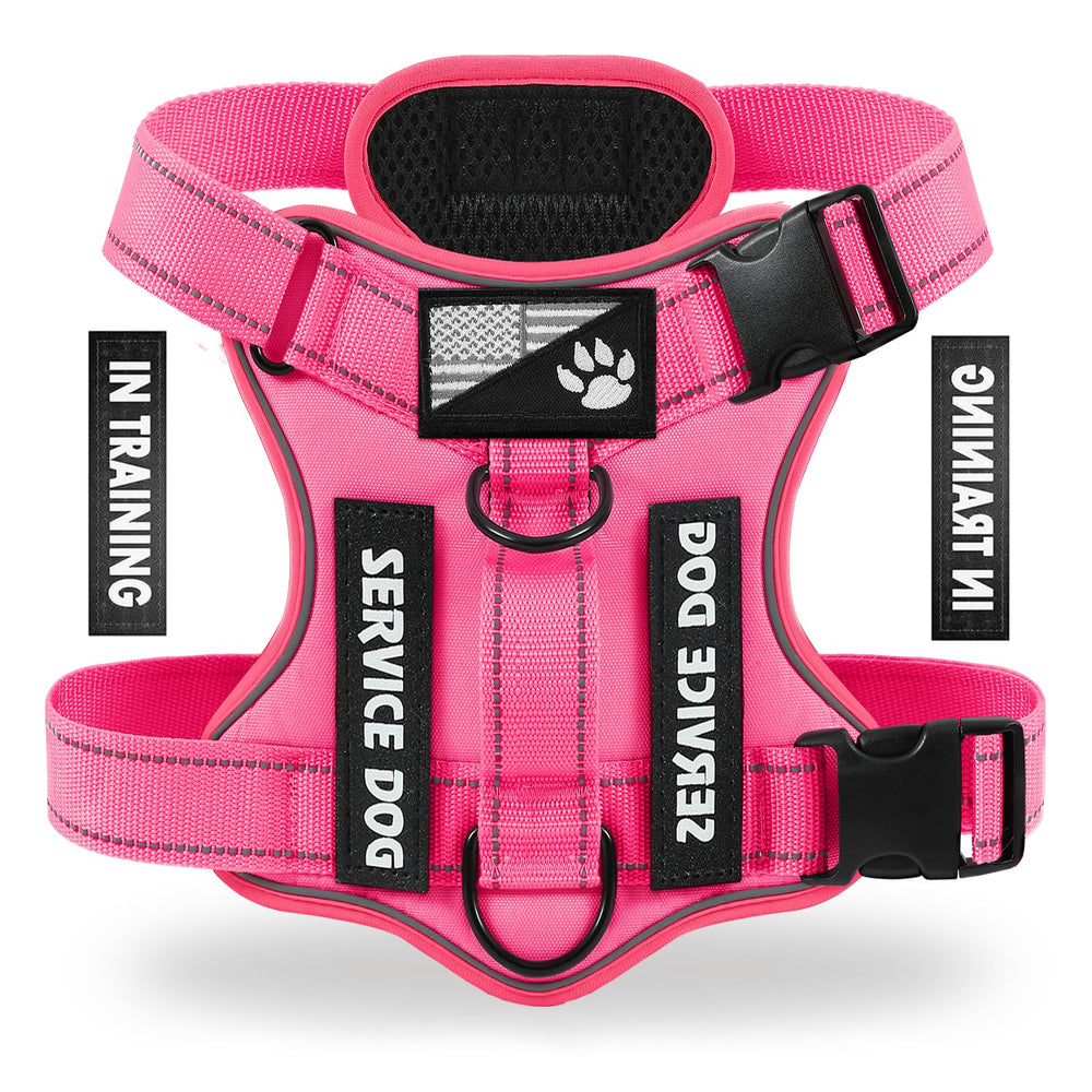 Arnés Demigreat para perro con enfoque frontal y reflectante para paseos seguros.