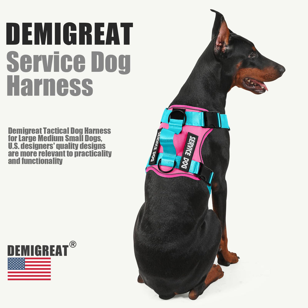Arnés Demigreat en Oxford reforzado, duradero para perros activos
