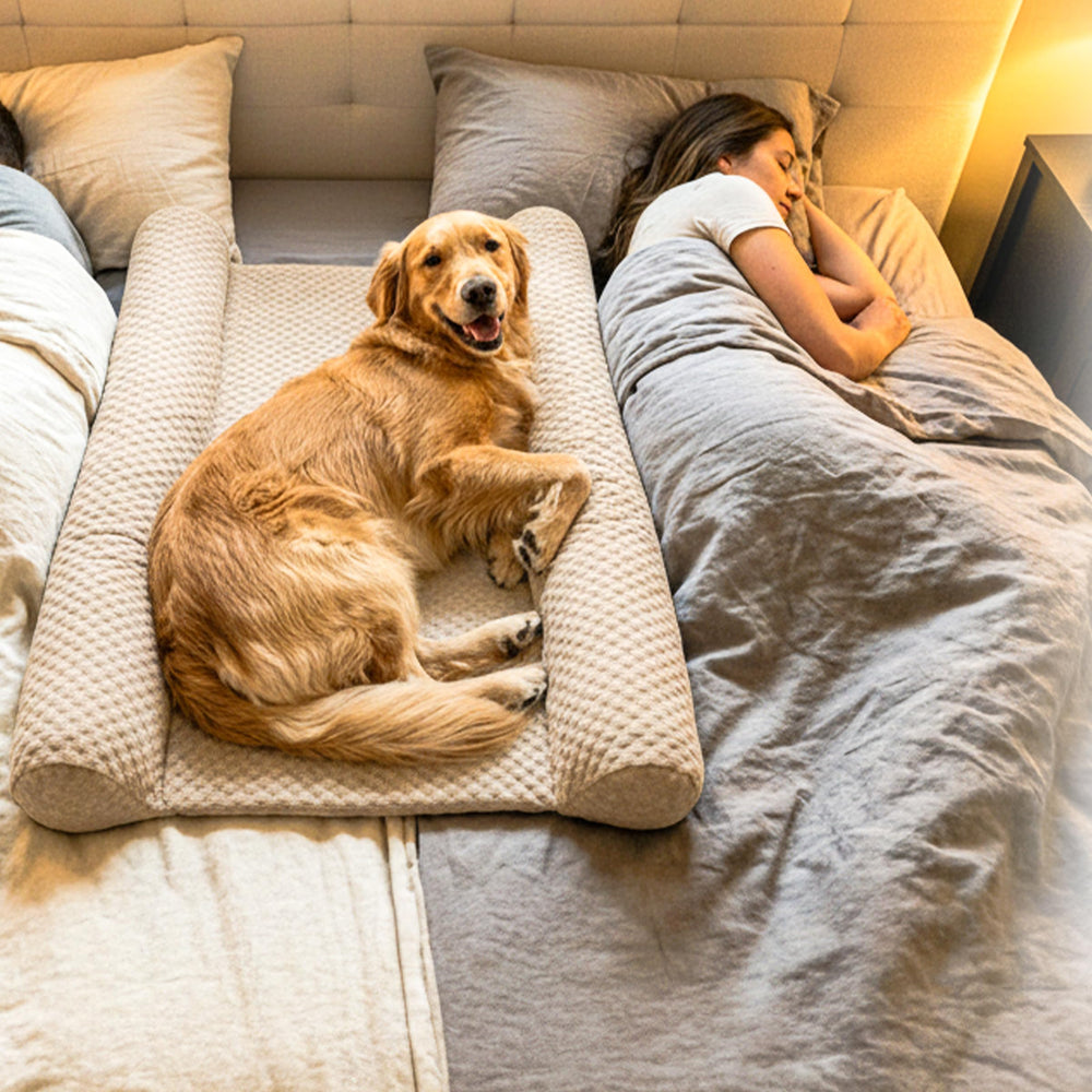 DenMate diseño patentado mantiene al perro junto a su dueño durante la noche.