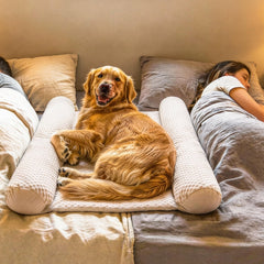 DenMate estabiliza el movimiento nocturno del perro para dormir junto a ti.
