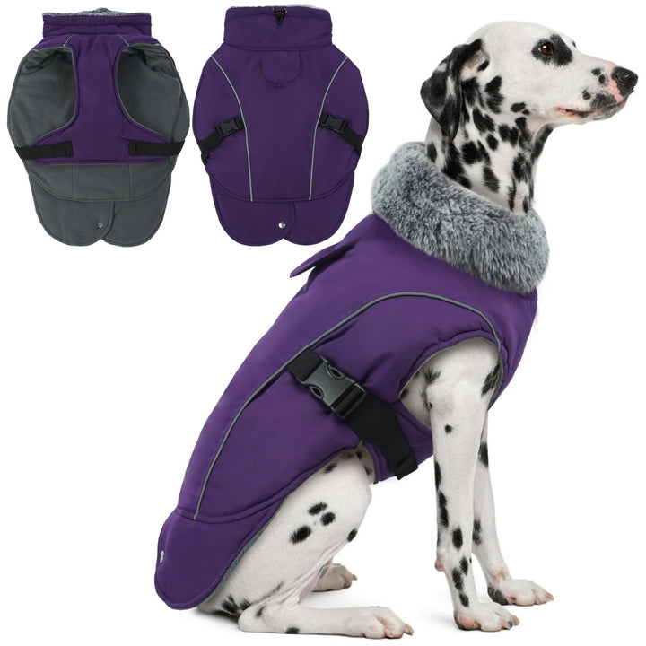 DENTRUN abrigo de invierno para perro con banda reflectante en la espalda para mayor visibilidad.